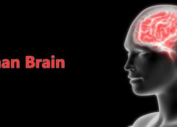 Cancer Stage 4 Symptoms – Oren Zarif