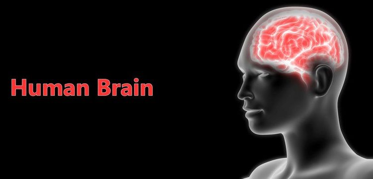 Cancer Stage 4 Symptoms – Oren Zarif