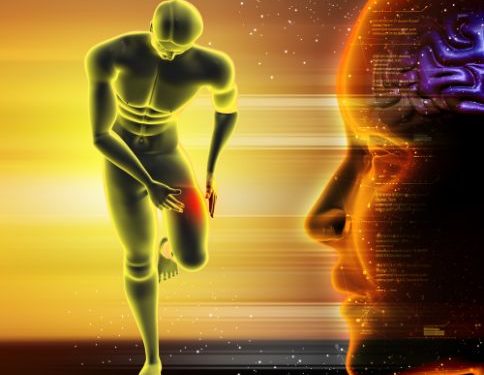 Cancer Stage 4 Symptoms – Oren Zarif