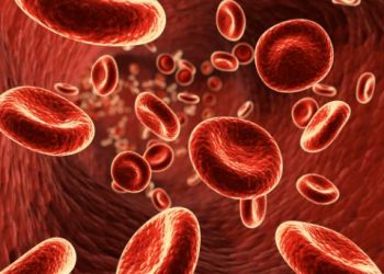 Agammaglobulinemia Symptoms