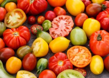 Why is it Good to Eat a Tomato?