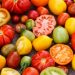 Why is it Good to Eat a Tomato?