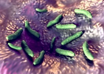 Symptoms of Ureoplasma Urealyticum