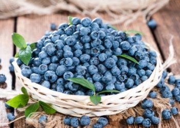 Why is it Good to Eat Blueberries?