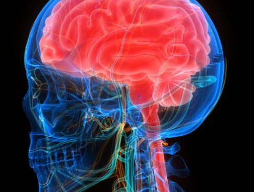 Transient Ischemic Attack Symptoms