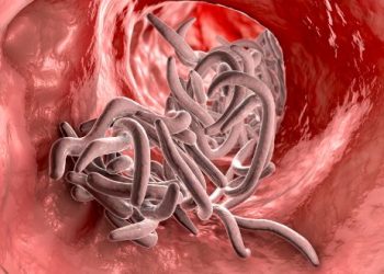 Enterobacter Symptoms