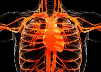 Pulmonary Regurgitation