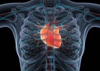 Angina Pectoris Symptoms Oren Zarif