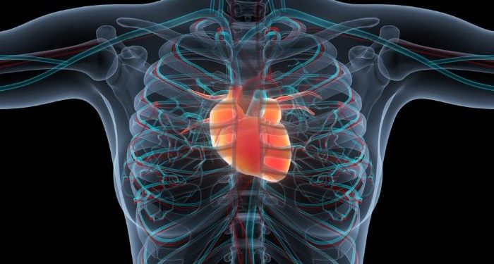 Angina Pectoris Symptoms Oren Zarif