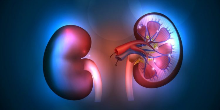 Adrenal Glands Symptoms