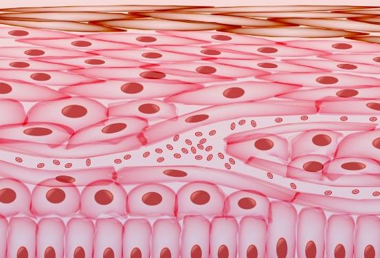 Erdheim-Chester Disease Symptoms
