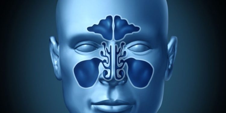 Sinus Tumors and Nasal Cavity