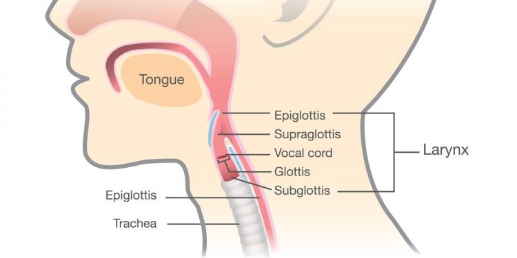 Larynx Tumors