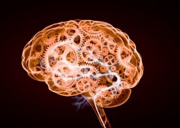 Treatment of Brain Edema Using Apapitinib