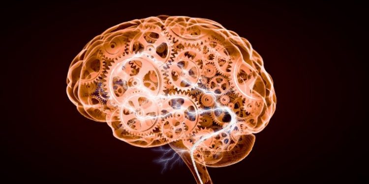 Treatment of Brain Edema Using Apapitinib