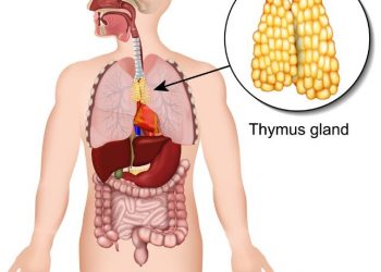 Thymic Tumors Treatments