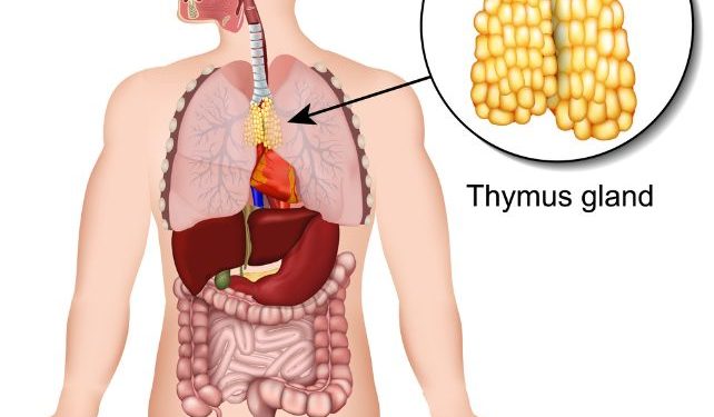 Thymic Tumors Treatments