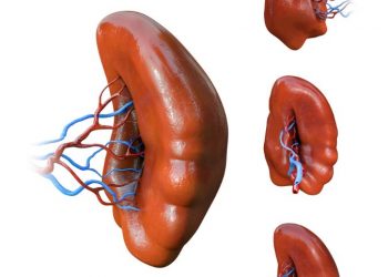 Pruritus Anis Symptoms