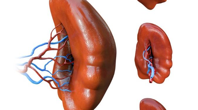 Pruritus Anis Symptoms