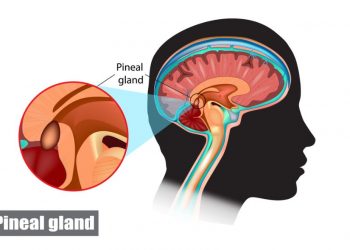 Neuroendocrine Tumors Symptoms