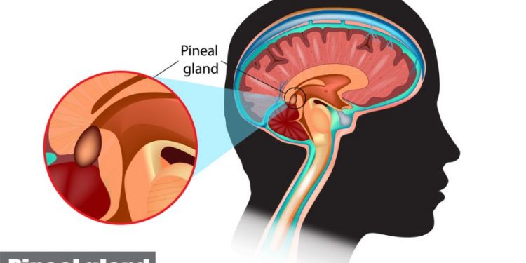 Neuroendocrine Tumors Symptoms