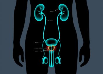 Undescended Testicle Symptoms