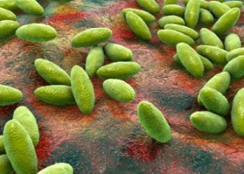 Escherichia Coli Symptoms and Treatment