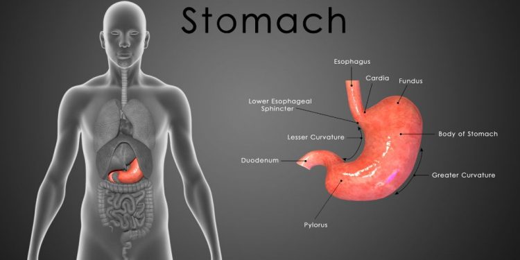 Tumors of the Esophagus