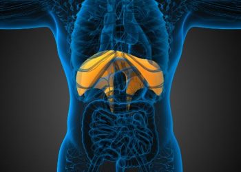 Diaphragm Paralysis Symptoms