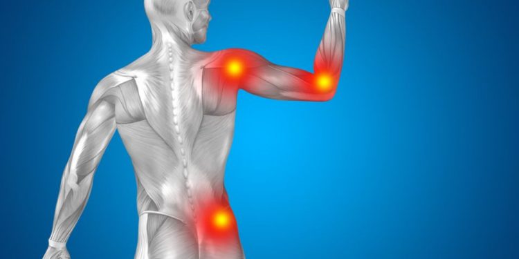 Bone and Cartilage Inflammation