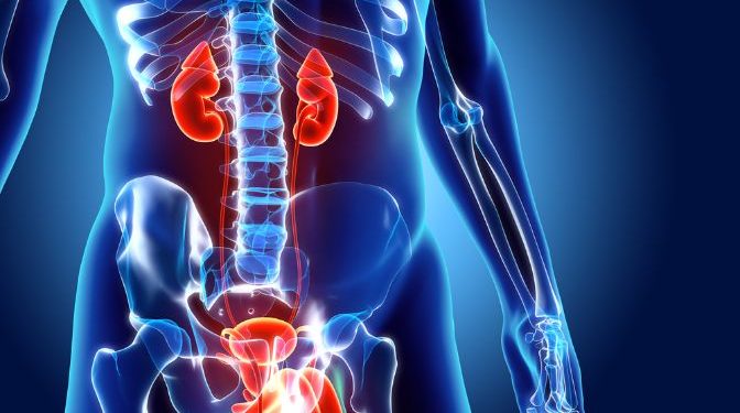 Urinary Tract Infection