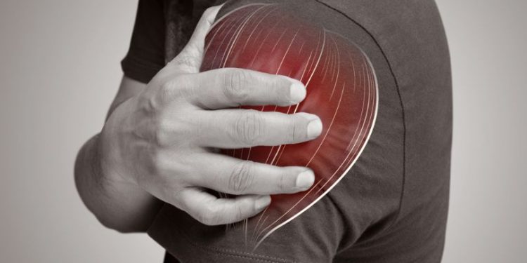 Denervation of Muscles