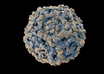 Fifth Disease Symptoms