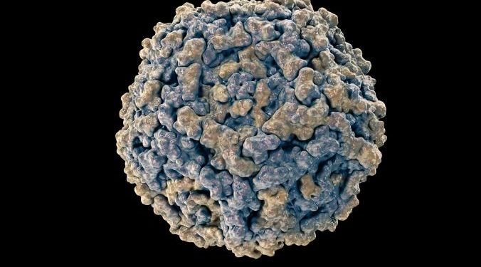 Fifth Disease Symptoms