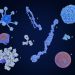 Low Immunoglobulin