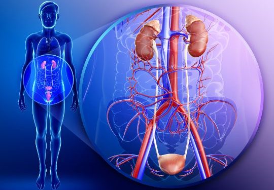 Symptoms of Recurrent Urinary Tract Infection – UTI Symptoms