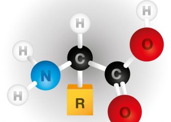 Disorders of Amino Acid