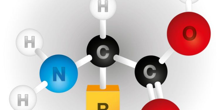 Disorders of Amino Acid