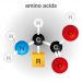 Disorders of Amino Acid