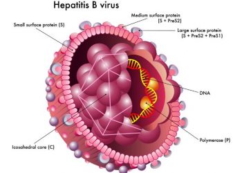 Viral Hepatitis