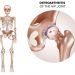 Osteoarthritis Symptoms
