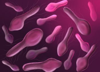 Brucellosis – Symptoms, Causes, and Prevention