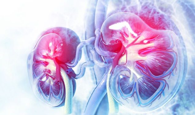 Kidney Diseases
