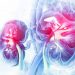 Kidney Diseases