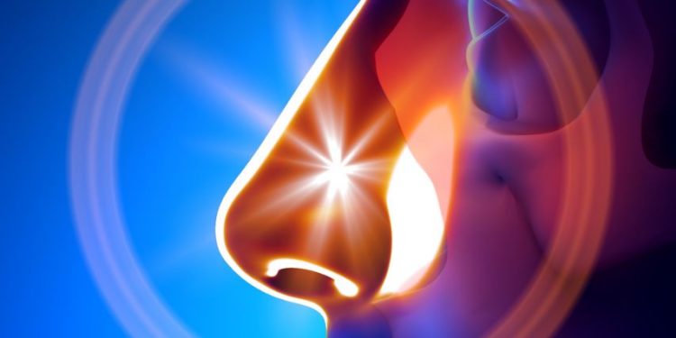 Smell and Taste Disorders