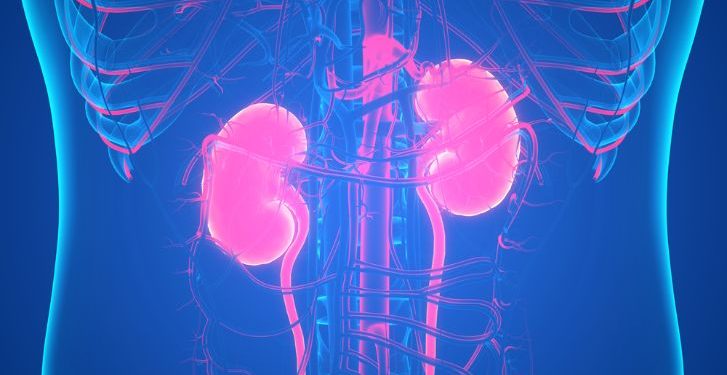 Kidney Failure in Children