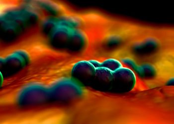 Staphylococcal Infection Symptoms