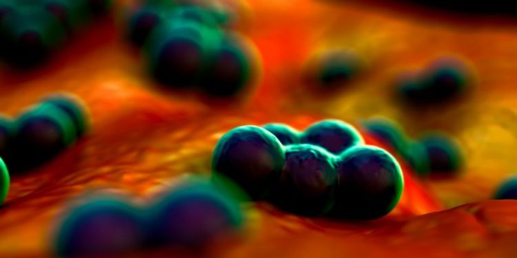 Staphylococcal Infection Symptoms