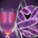 Chlamydia Symptoms