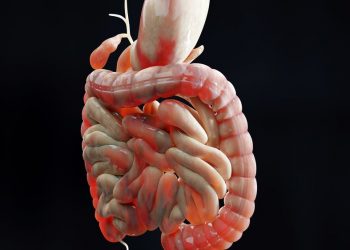 Intestinal Obstruction – Ileus Symptoms